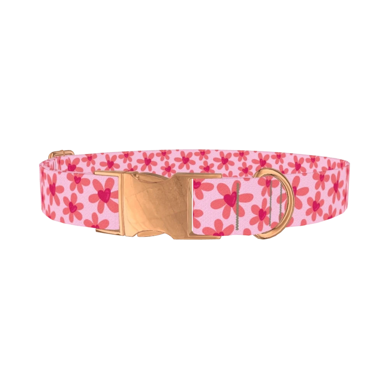 Floral Heart Dog Collar - metal rose gold