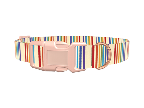 Rainbow Stripe Dog Collar