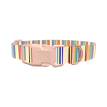 Rainbow Stripe Dog Collar - plastic gold