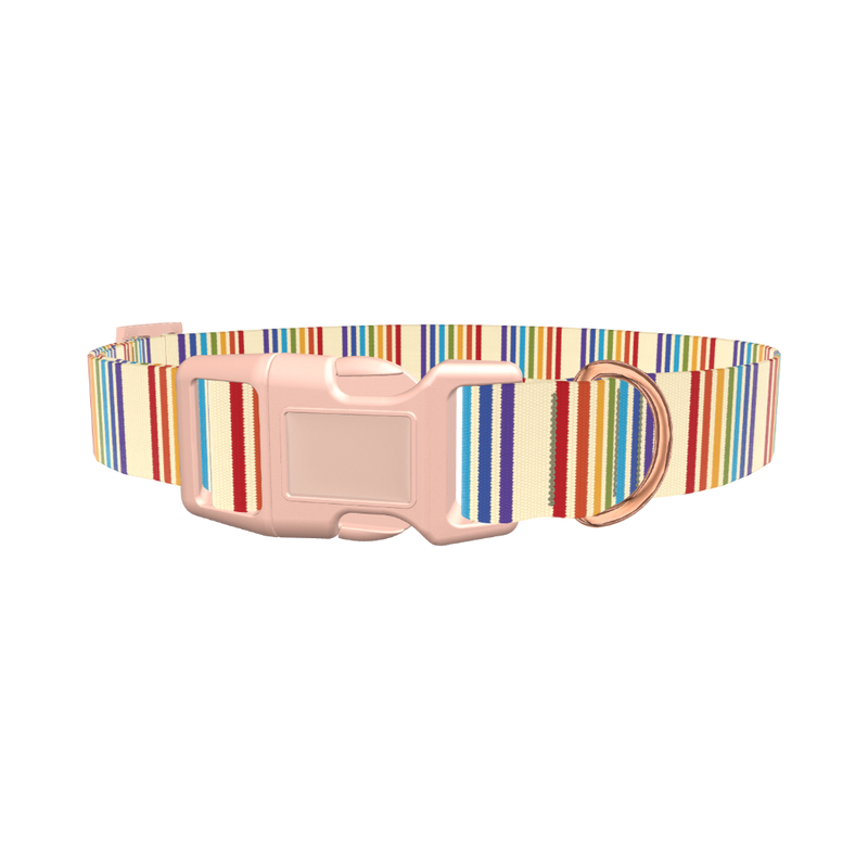 Rainbow Stripe Dog Collar - plastic gold