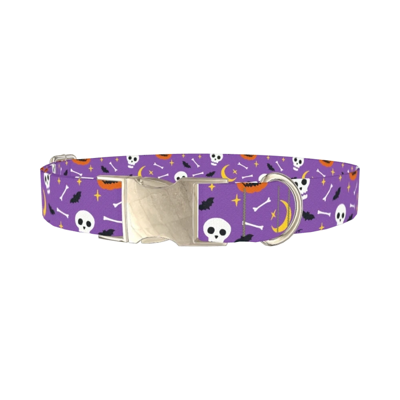 Halloween Moon Dog Collar - metal silver