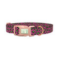 Pink Leopard Print Dog Collar - plastic rose gold