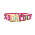 Pink Do Not Pet Dog Collar - plastic gold
