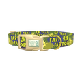 Comic Explosion Dog Collar - plastic gold