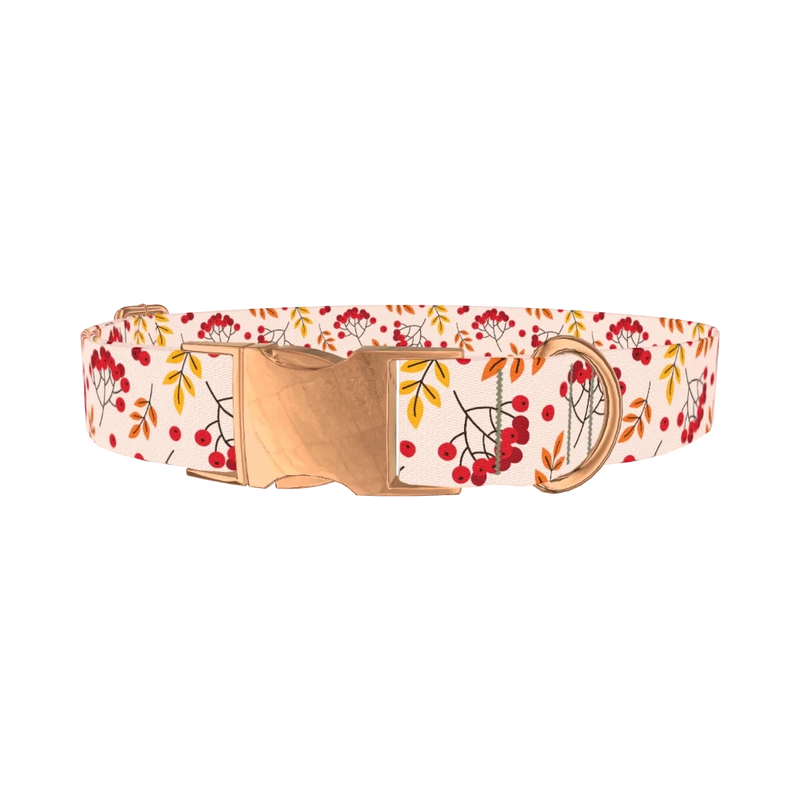 Autumn Rowanberry Dog Collar - metal rose gold