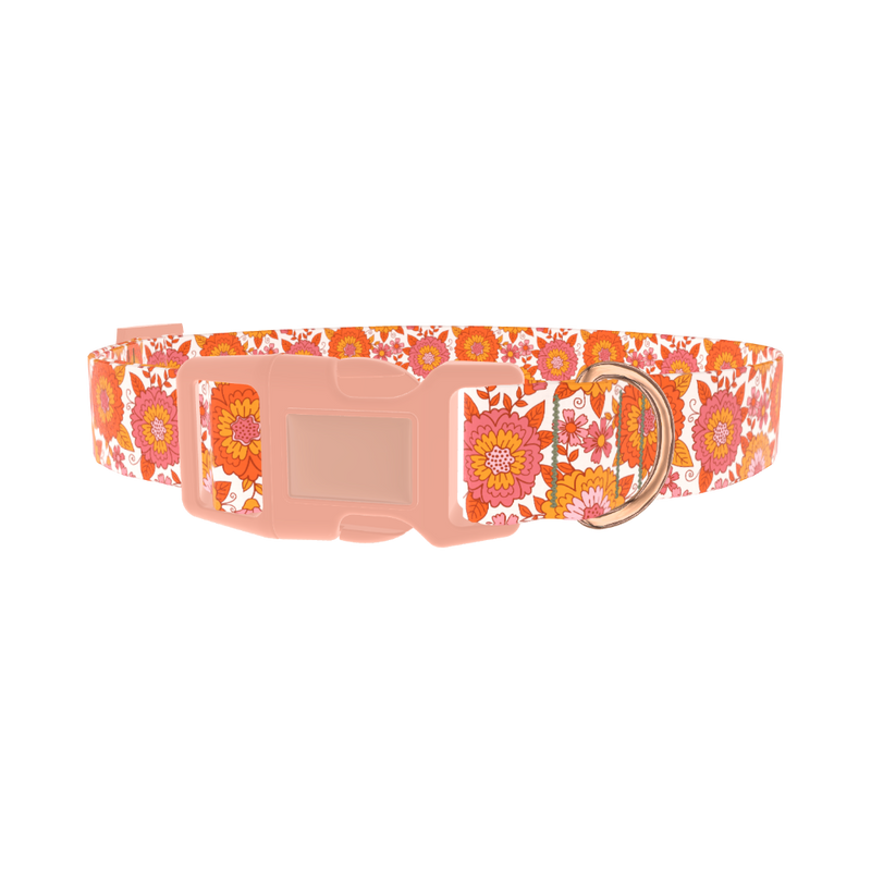 Orange Floral Burst Dog Collar - plastic rose gold