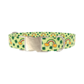 Leprechaun Rainbow Dog Collar - metal gold