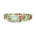 Paint Splatter Dog Collar - plastic silver