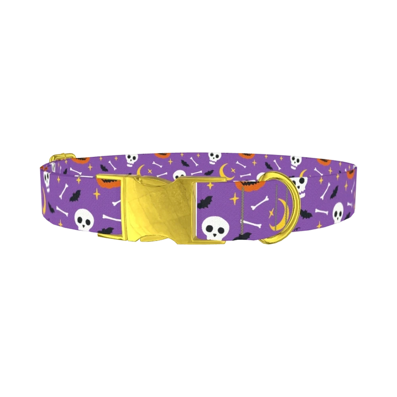 Halloween Moon Dog Collar - metal gold