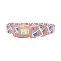 Stars and Stripes Dog Collar - plastic rose gold