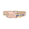 Tie Dye Dog Collar - plastic gold