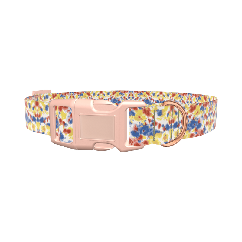Tie Dye Dog Collar - plastic gold