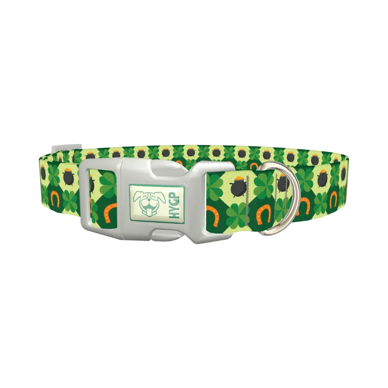 Pot of Gold Shamrock Dog Collar - plastic silver