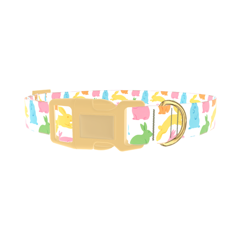 Colorful Easter Bunny Dog Collar - plastic gold