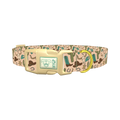Desert Cowboy Dog Collar - plastic gold