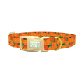 Floral Marigold Dog Collar - plastic gold