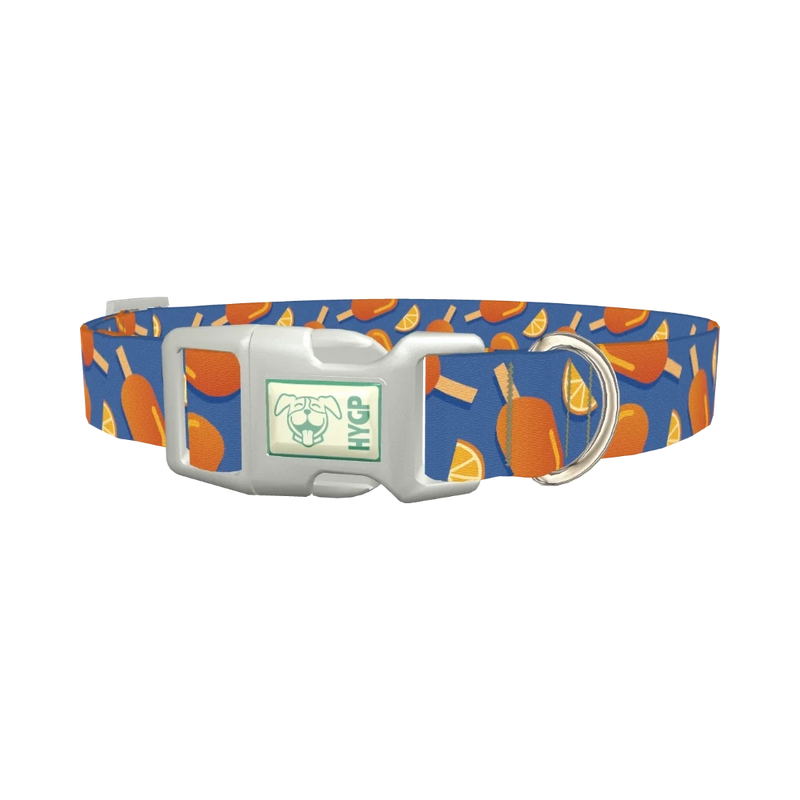 Citrus Popsicle Dog Collar - plastic silver