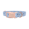 Astrology Symbols Dog Collar - plastic silver
