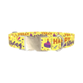 Birthday Cake Dog Collar - metal silver