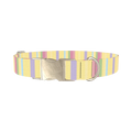Pastel Stripe Dog Collar - metal silver