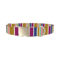 Purple Blue Green Stripes Dog Collar - metal silver