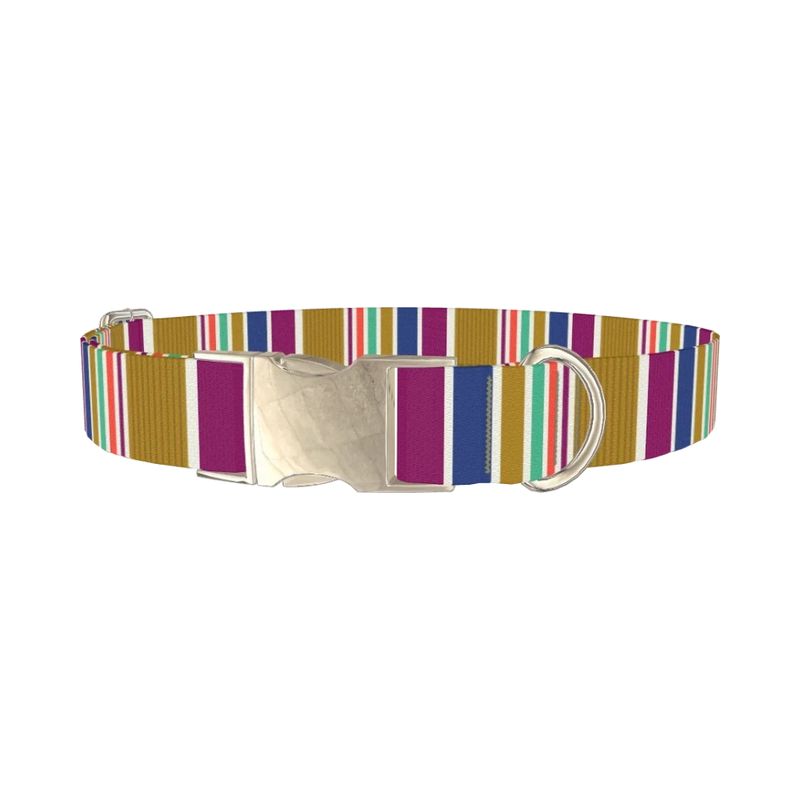 Purple Blue Green Stripes Dog Collar - metal silver