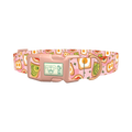 Avocado Toast Dog Collar - plastic rose gold