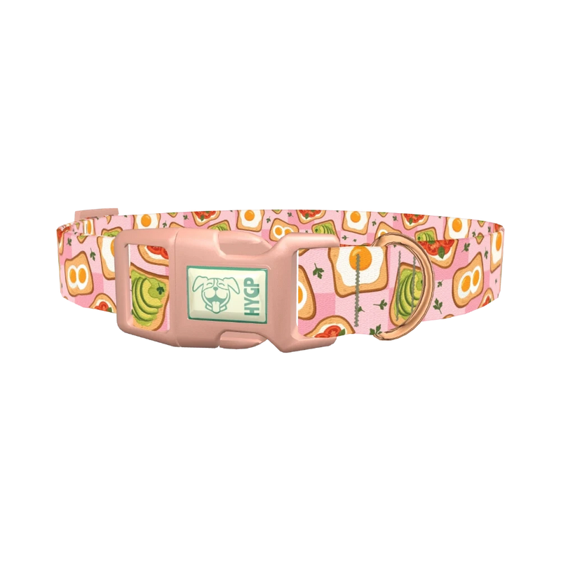 Avocado Toast Dog Collar - plastic rose gold