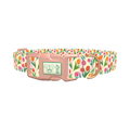 Floral Tulip Stripes Dog Collar - plastic rose gold