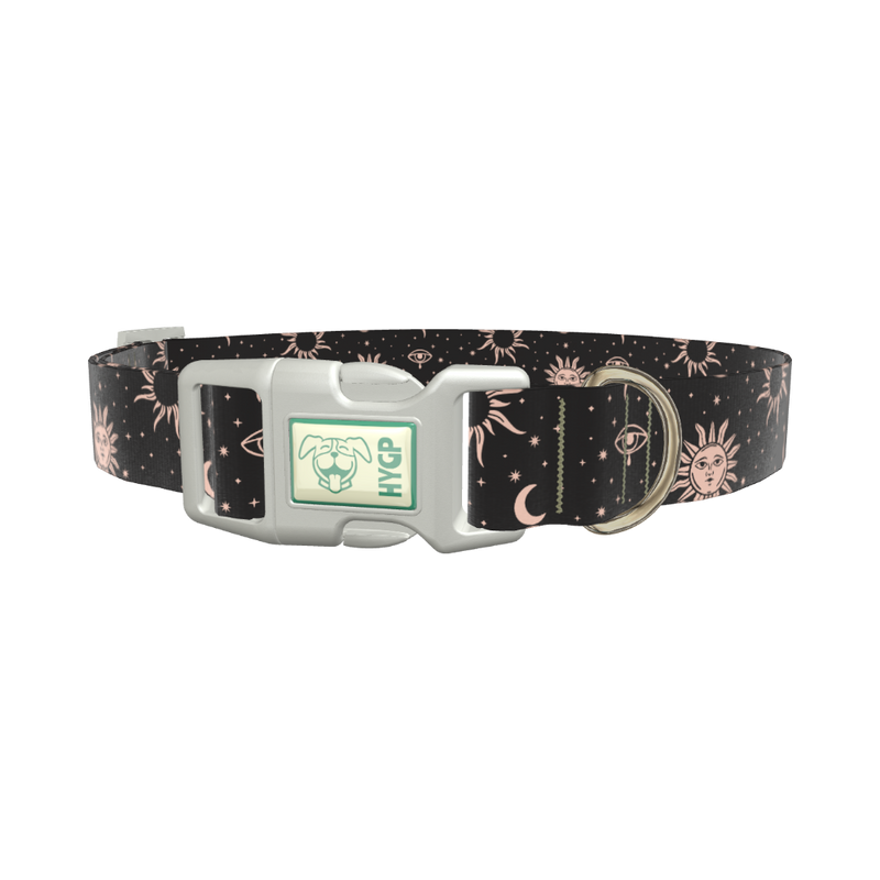 Celestial Sun and Moon Dog Collar - plastic rose gold