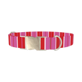 Red Pink Striped Dog Collar - metal silver