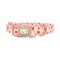 Flying Heart Dog Collar - plastic rose gold