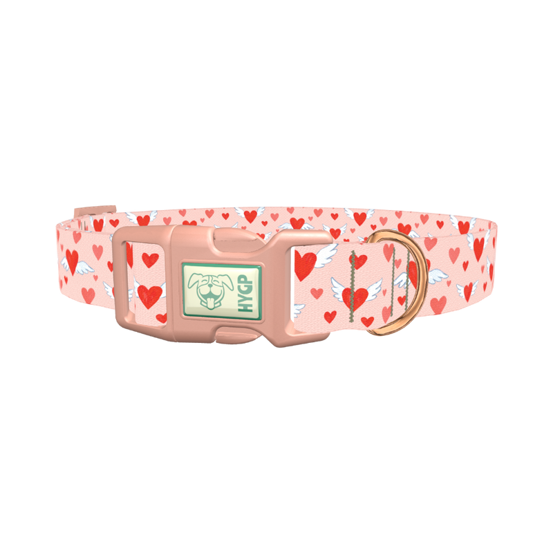 Flying Heart Dog Collar - plastic rose gold