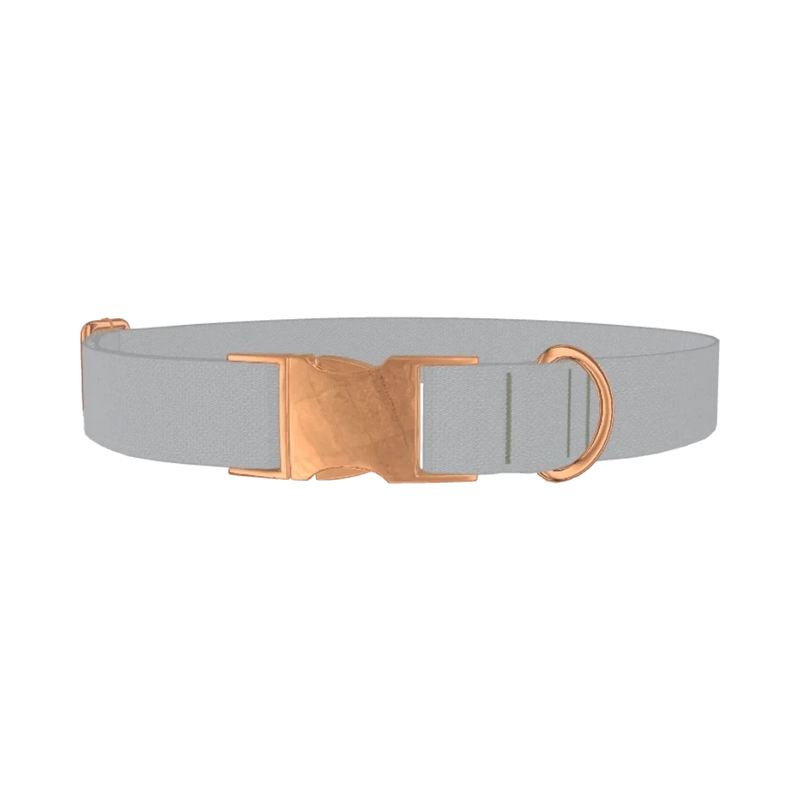 Microchip Color Dog Collar - metal rose gold