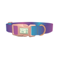 Blue Pink Ombre Dog Collar - plastic rose gold