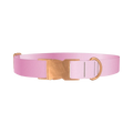 Pink Gradient Dog Collar - metal rose gold