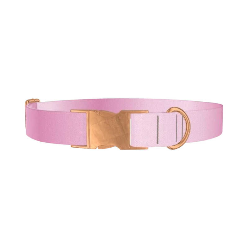 Pink Gradient Dog Collar - metal rose gold
