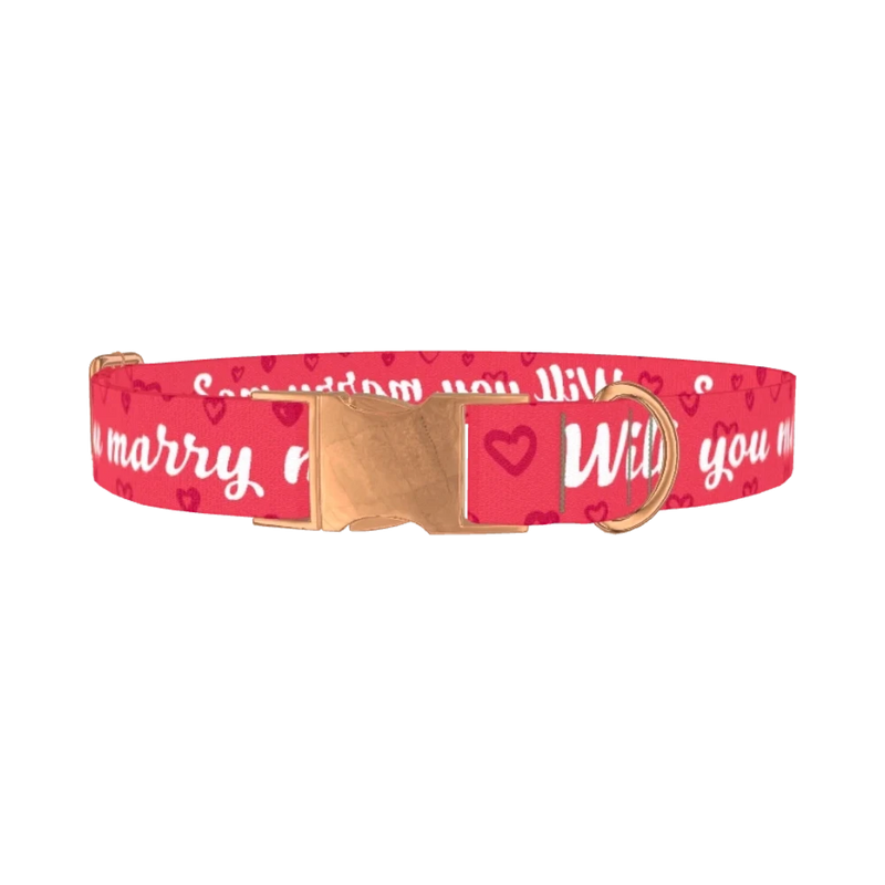 Heart Phrase Dog Collar - metal rose gold