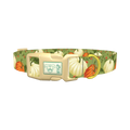 Pumpkin Floral Dog Collar - plastic gold