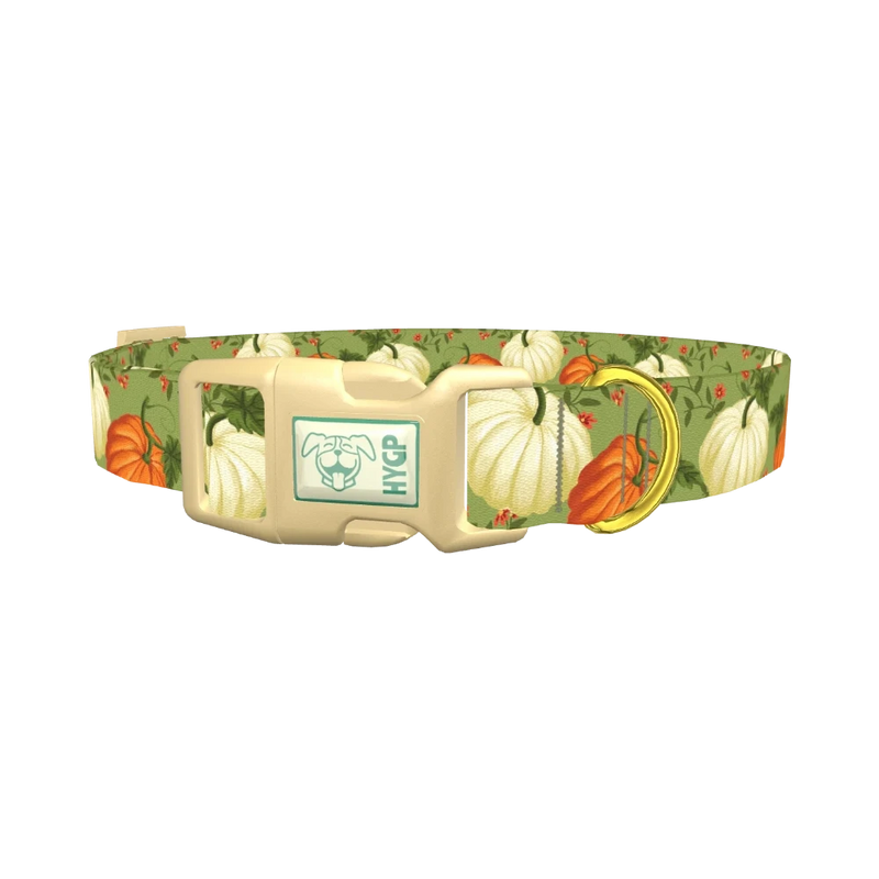 Pumpkin Floral Dog Collar - plastic gold