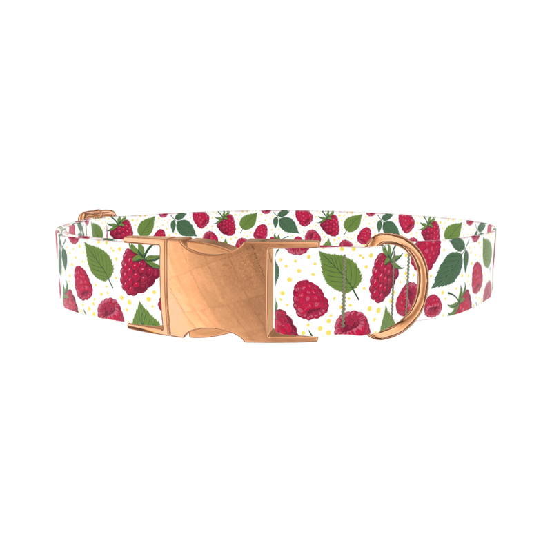 Raspberry Fruit Dog Collar - metal rose gold