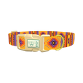 Mexican Tribal Star Dog Collar - plastic gold