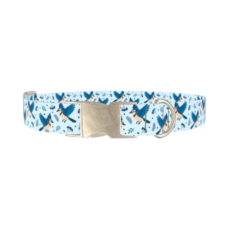 Bluejay Bird Dog Collar - metal silver