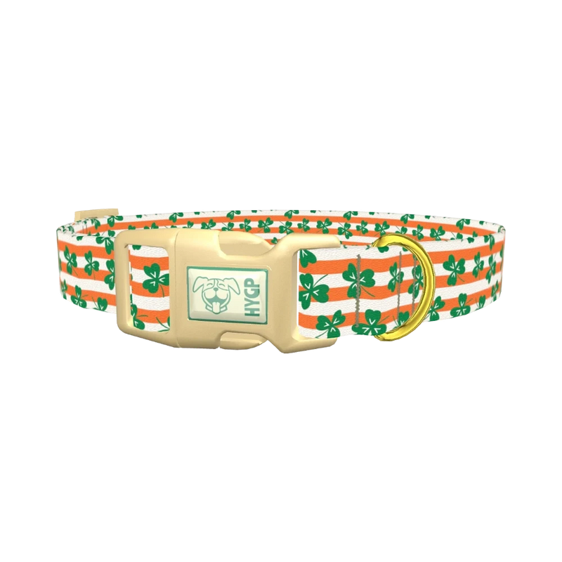 St. Patrick's Clover Stripe Dog Collar - plastic gold