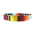 Mexican Stripe Pattern Dog Collar - metal gold