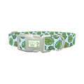 Blue Monstera Leaf Dog Collar - plastic silver