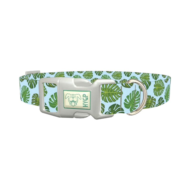 Blue Monstera Leaf Dog Collar - plastic silver
