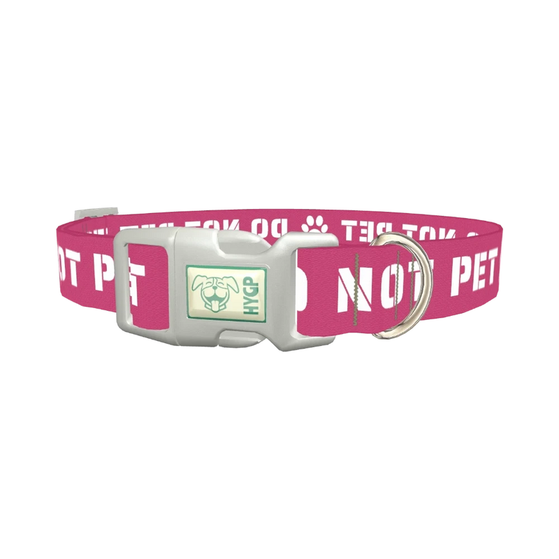 Pink Do Not Pet Dog Collar - plastic silver