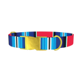 Vivid Stripe Dog Collar - metal gold