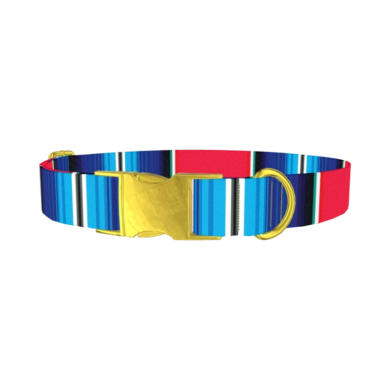 Vivid Stripe Dog Collar - metal gold